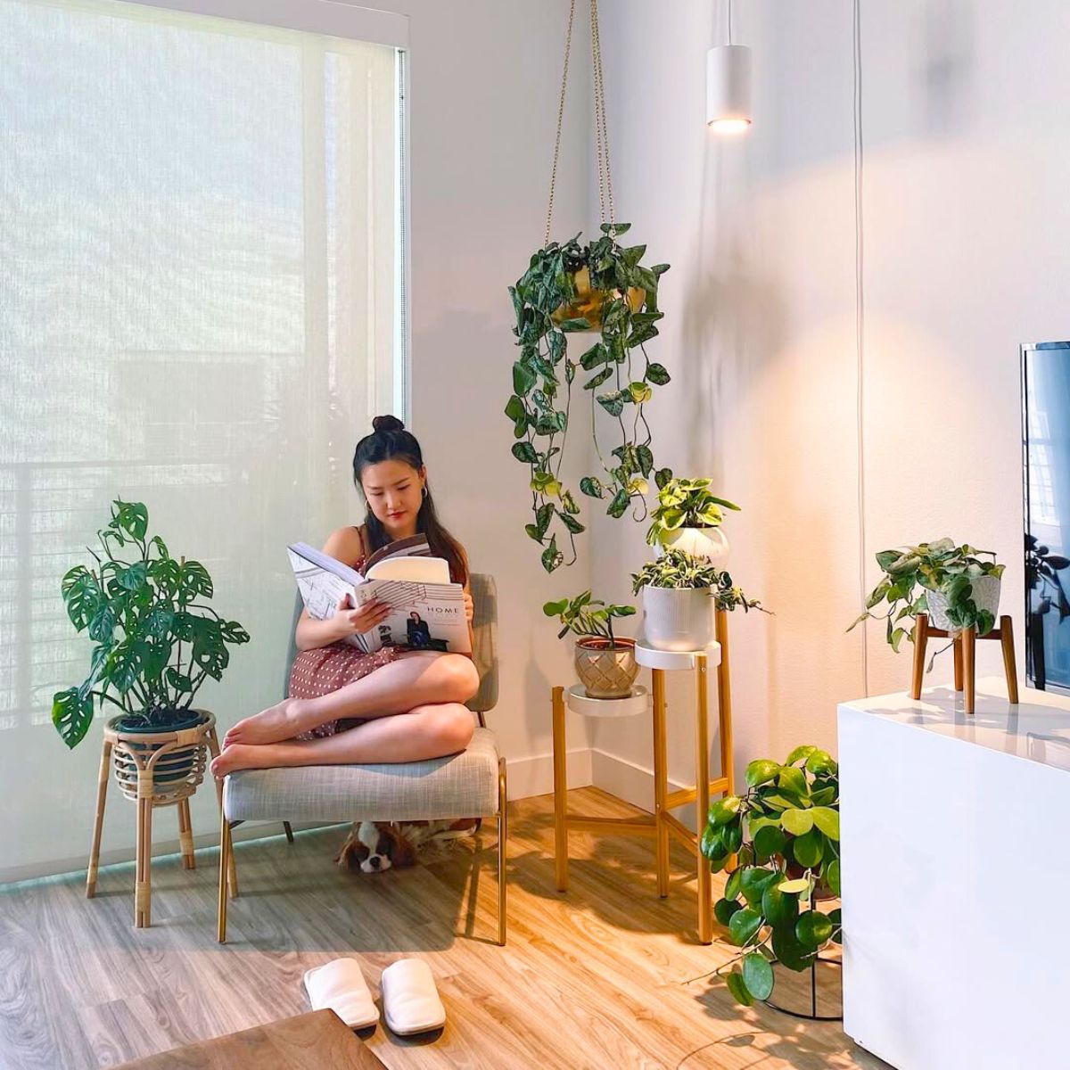 Harmoni Visual untuk Kehidupan Sehari-hari yang Nyaman